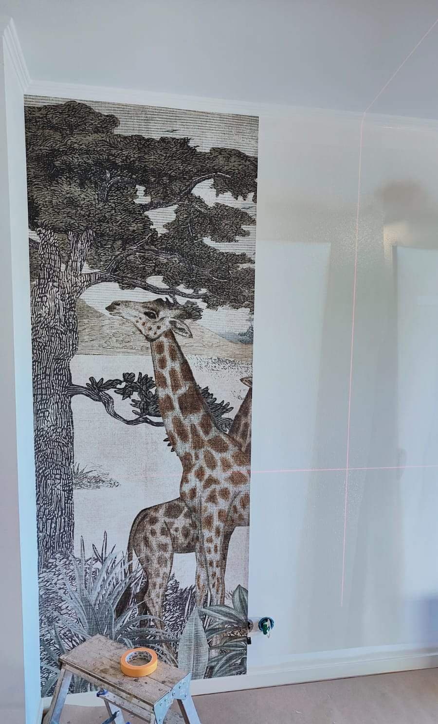 Första våden fototapet uppsatt efter ett laserlod